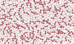 Easily Compress Large PDF Files Without Hassle